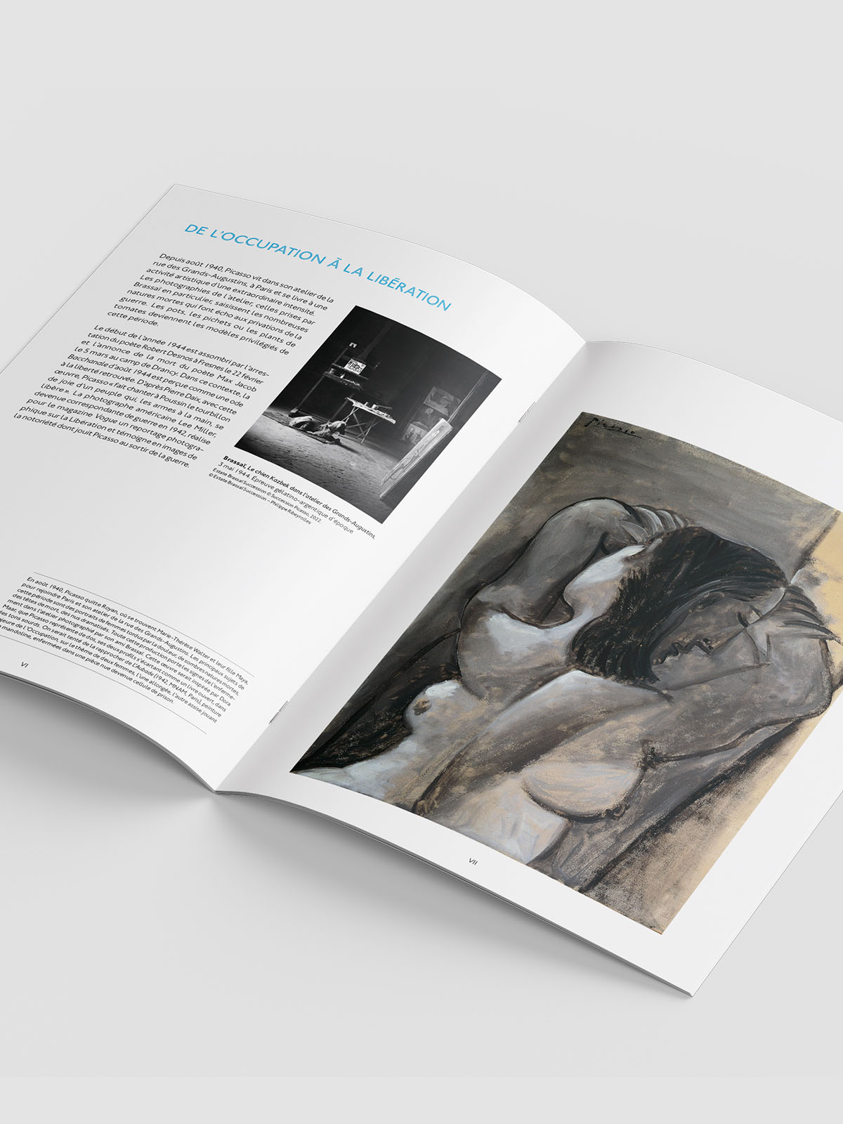 mbal_expo_picasso_4.jpg