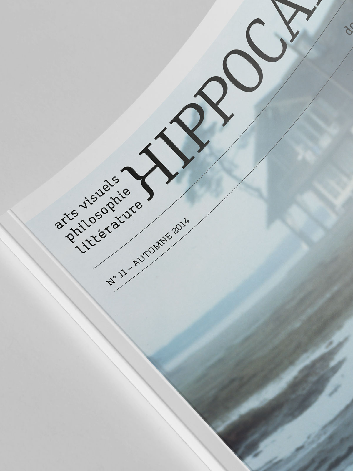 hippocampe_revue_2.jpg