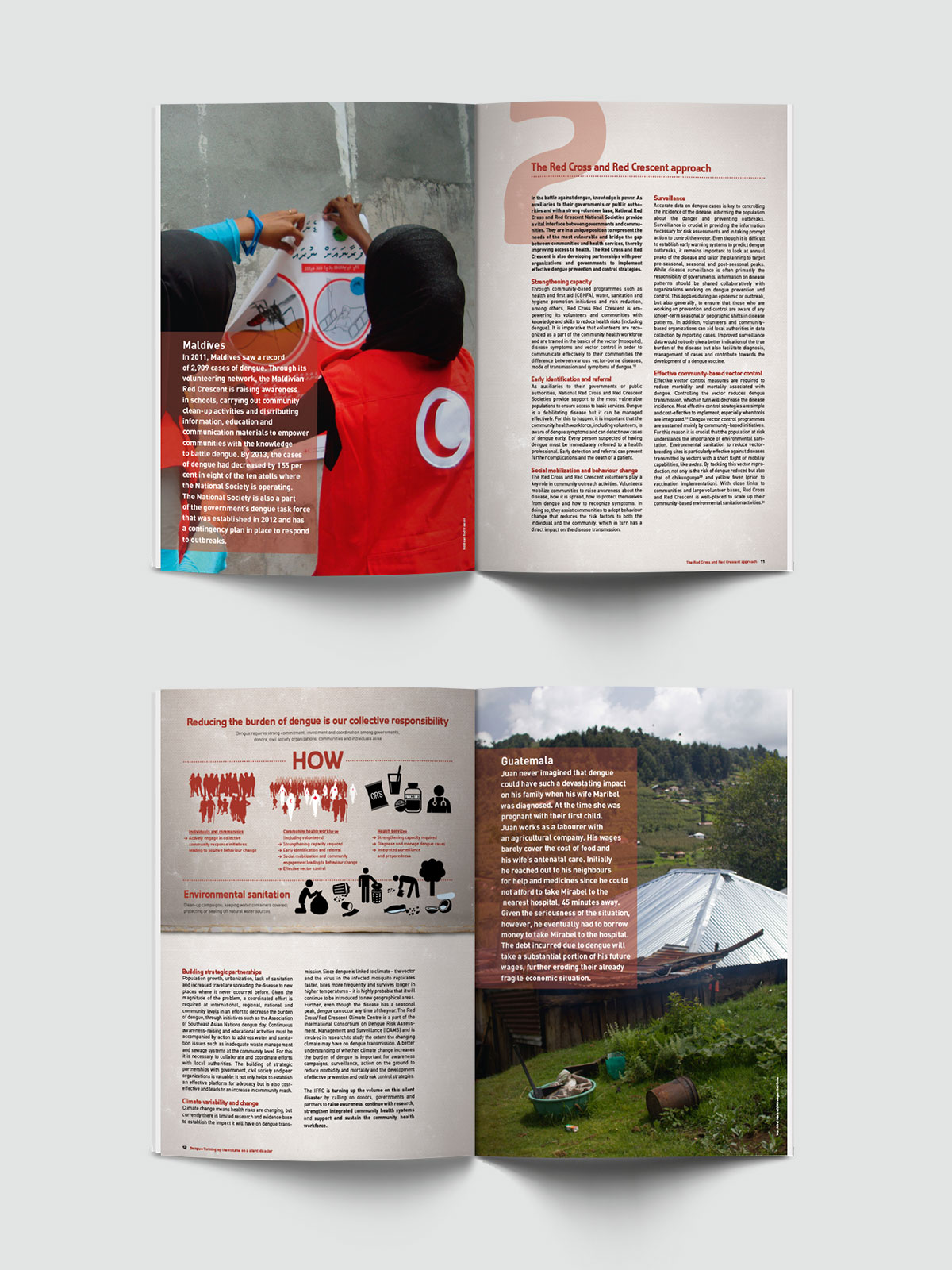 ifrc_dengue_5.jpg