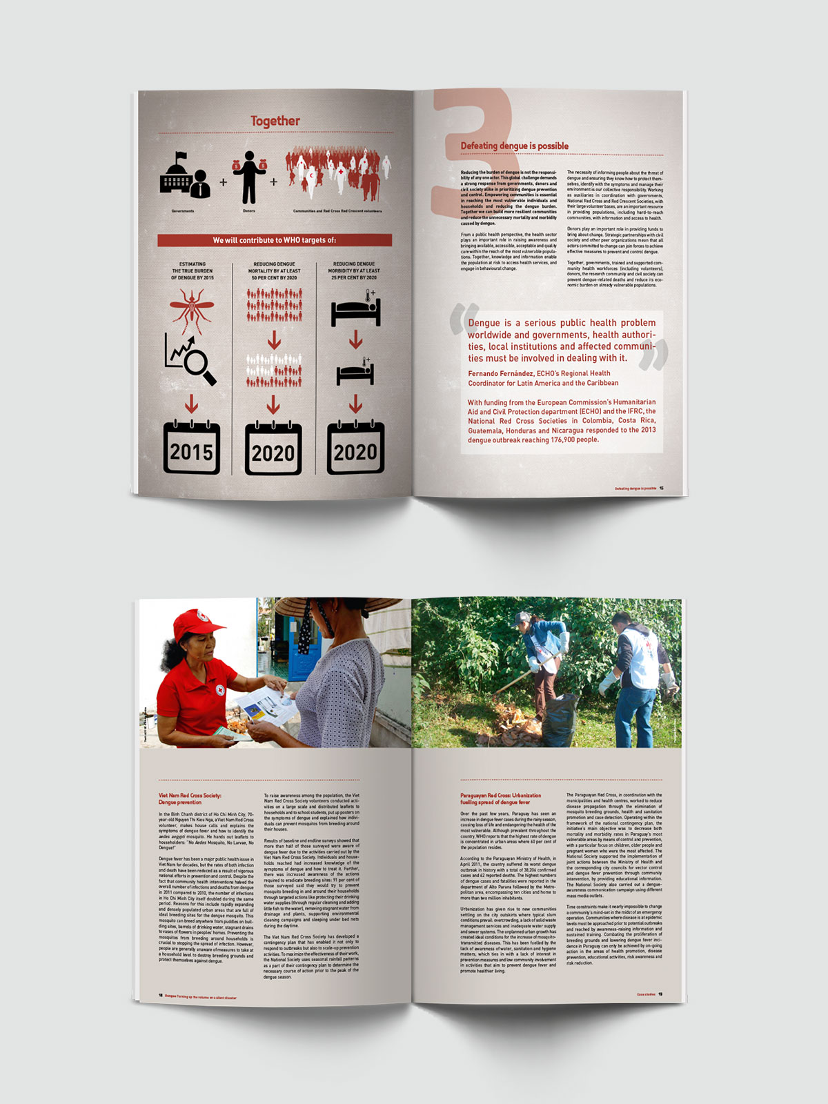 ifrc_dengue_6.jpg